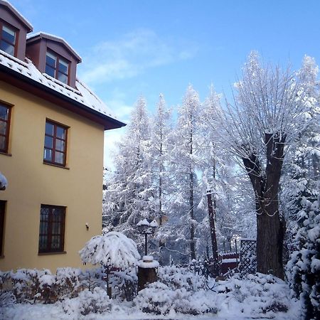 Villa Gorczanska Rabka Ngoại thất bức ảnh